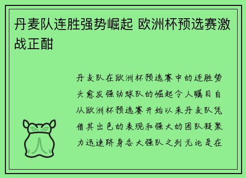 丹麦队连胜强势崛起 欧洲杯预选赛激战正酣