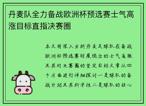 丹麦队全力备战欧洲杯预选赛士气高涨目标直指决赛圈