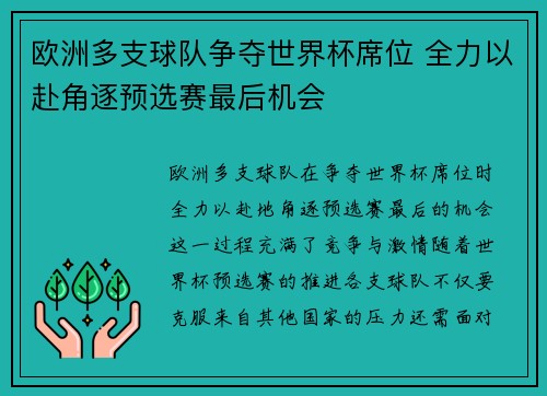 欧洲多支球队争夺世界杯席位 全力以赴角逐预选赛最后机会